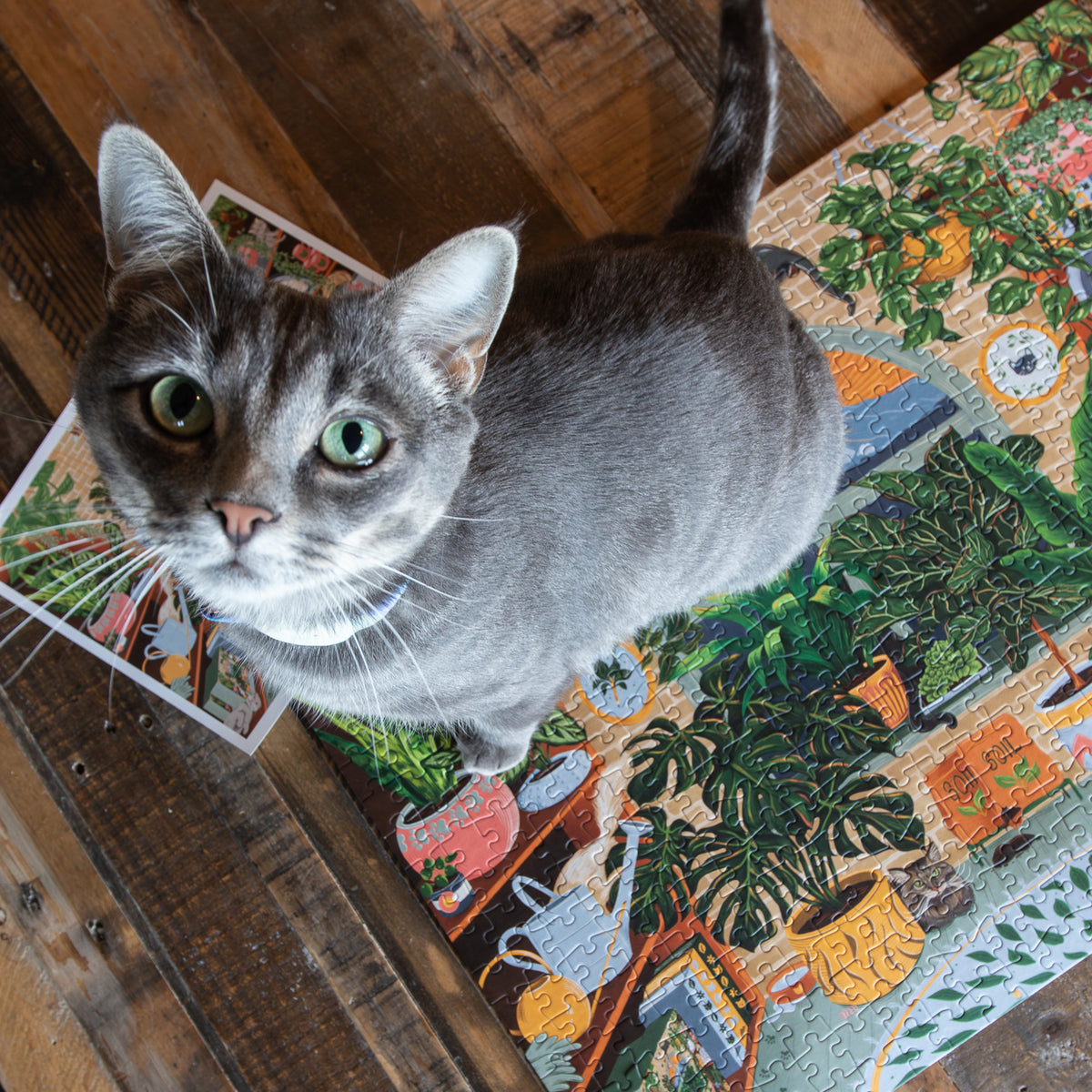 The Purrfect Plant Shop (500 Piece) Jigsaw Puzzle